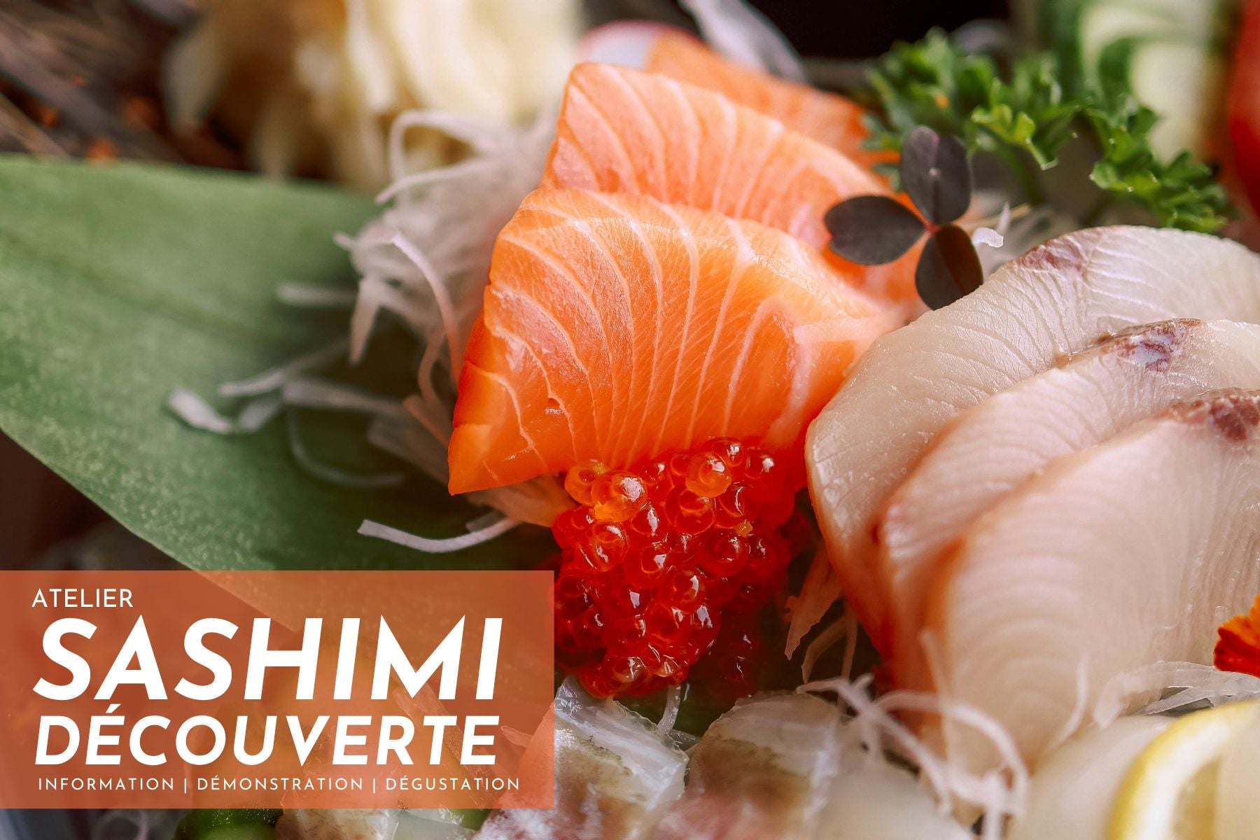 Atelier Sashimi Découverte