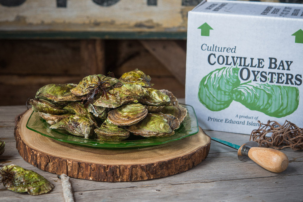 Colville Bay Medium Oysters - 100 ct