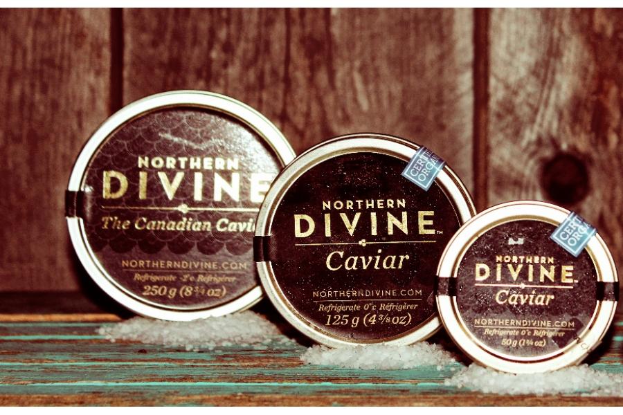 Caviar Northern Divine