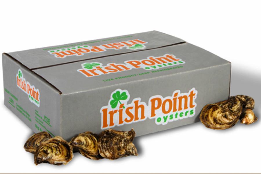 Irish Point - 100 un