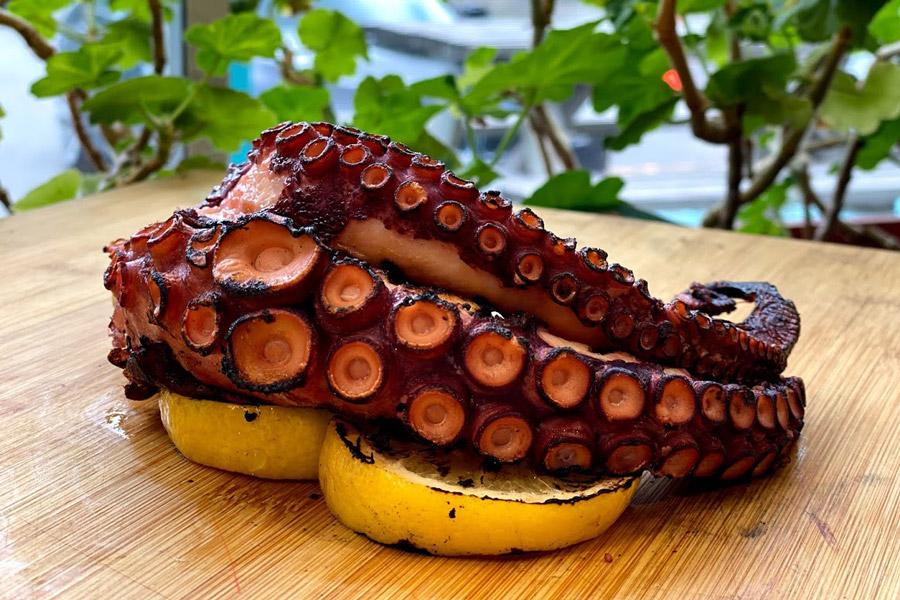 Felpa octopus all hot sale you can eat